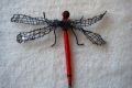 Dragon Fly